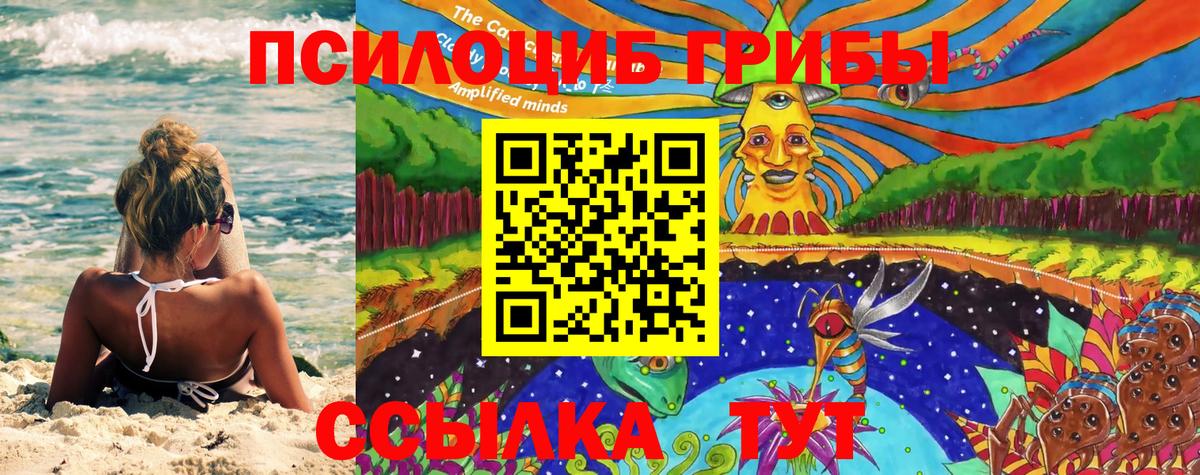 Галлюциногенные грибы мицелий  Вход с VPN  Малгобек 
